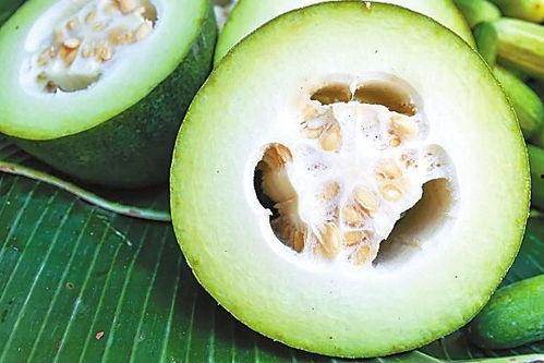 吃杏瓜有什么好处吗视频,杏瓜的营养益处大盘点