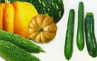 100万的吃瓜视频,吃瓜视频背后的热门现象