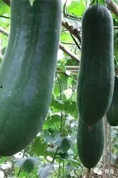 大宝徽县吃瓜视频,揭秘当地美食文化盛宴