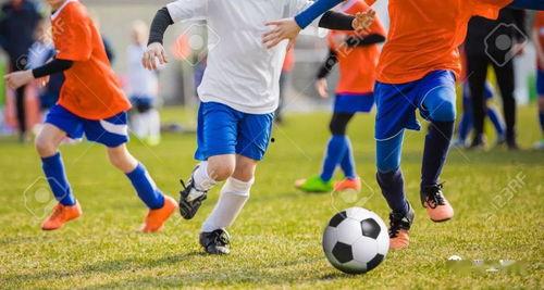 篮球足球吃瓜视频大全,吃瓜视频大盘点