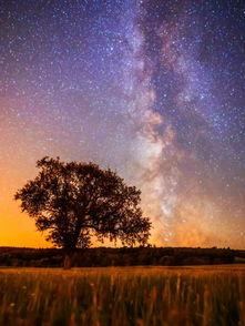 星空美女吃瓜视频网站大全,全网热门视频网站大盘点