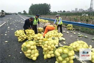 河南滑县网红视频吃瓜,揭秘当地特色美食文化