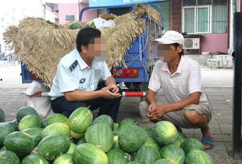 河南滑县网红视频吃瓜,揭秘当地特色美食文化