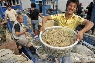 渤海理工吃瓜视频,揭秘校园热点事件背后的真相