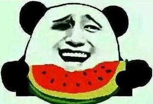 吃瓜搞笑的抖音视频大全,笑料横飞，欢乐无限