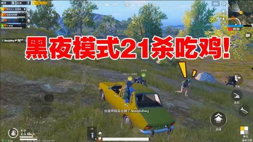 吃鸡瓜过瘾视频,畅享游戏乐趣