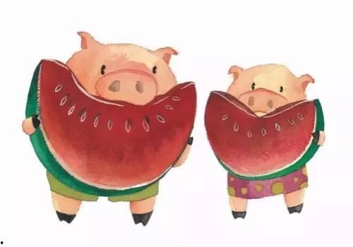 喂猪吃瓜视频大全下载安装,趣味养殖新风尚