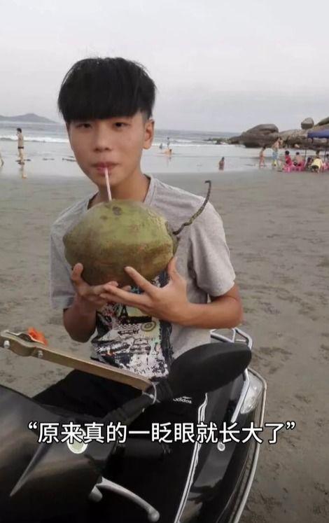 小杨哥遛鸟吃瓜视频大全,欢乐视频大盘点