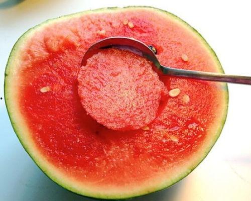 北方吊瓜能炖牛肉吃吗视频,传统美食新尝试