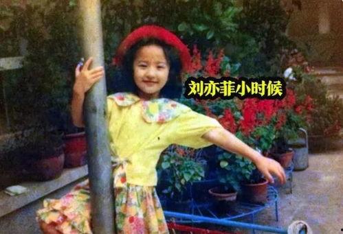 女生霸凌事件最新吃瓜视频,女生霸凌事件最新视频曝光，真相令人震惊