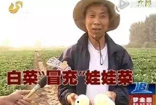 吃瓜群众赵老憨视频播放,揭秘娱乐圈幕后故事