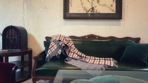 沙发吃瓜视频完整版下载,揭秘完整版下载攻略