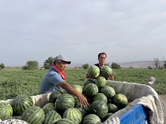 24年吃瓜视频,盘点那些让人捧腹大笑的短视频