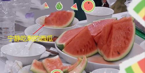 吃瓜视频在餐厅,一场美食与娱乐的盛宴