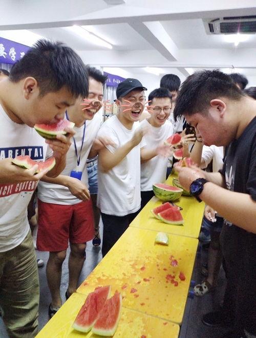 河南民众吃瓜是真的吗视频,一场网络热议背后的真实情况