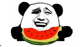 吃瓜搞怪配乐视频大全,音乐狂欢盛宴！