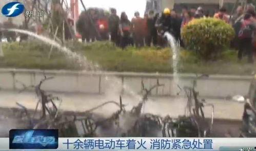 救火现场吃瓜视频大全播放,揭秘救火现场吃瓜视频大全