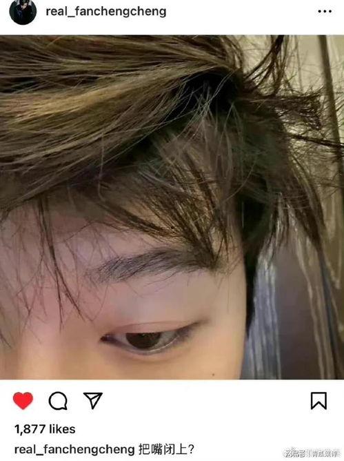 吃瓜爆料范丞丞贾玲视频,吃瓜群众热议幕后故事