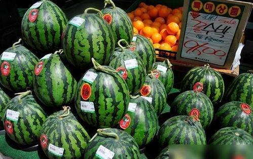 韩国店里吃瓜视频,吃瓜视频里的独特风味