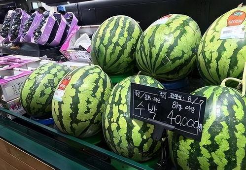 韩国店里吃瓜视频,吃瓜视频里的独特风味