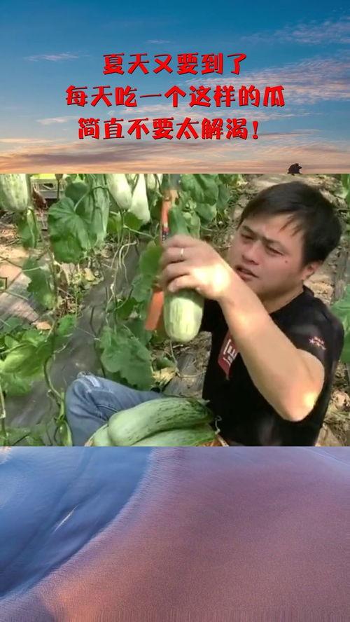 吃瓜解渴视频在线观看,跟着吃瓜解渴视频在线畅享清凉时光