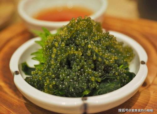 砍瓜能冬天吃吗视频播放,砍瓜冬季食用攻略