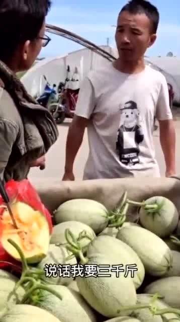 吃瓜老大的视频,一场视觉与味蕾的双重盛宴