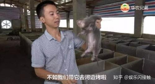 外地人吃老汉瓜视频播放,视频播放引发网友热议