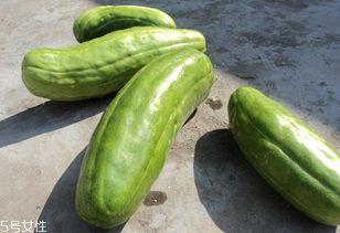 小伙吃脆瓜视频